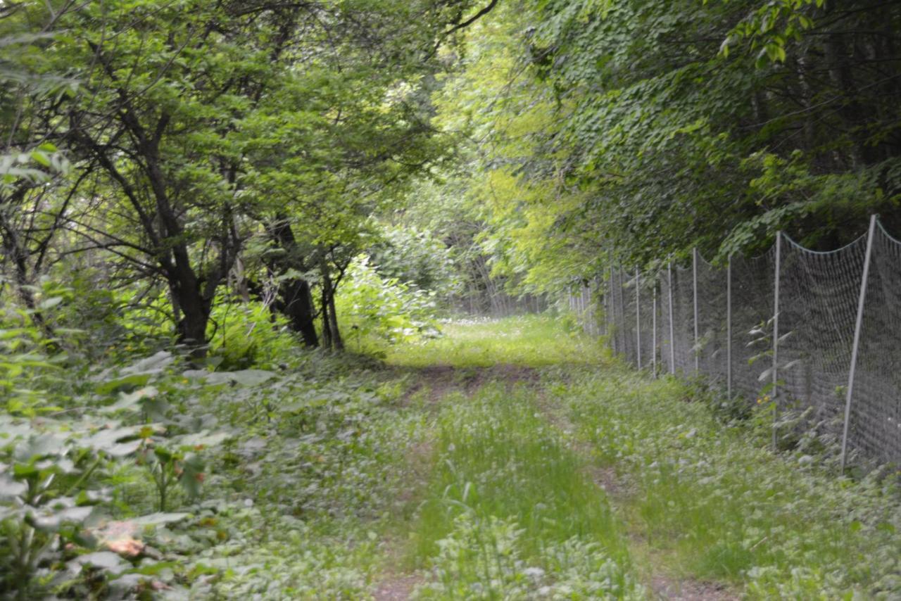 鹿家 Furano Dear House Villa Luaran gambar