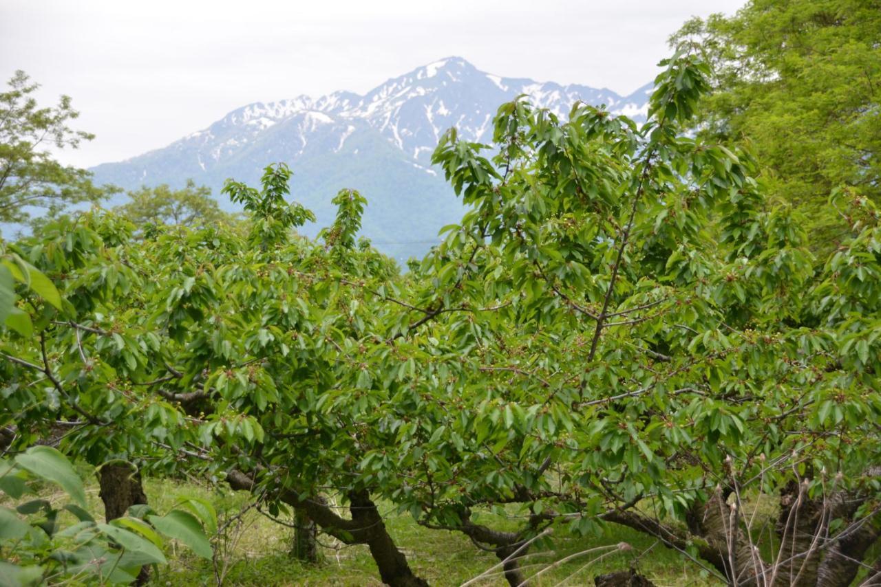 鹿家 Furano Dear House Villa Luaran gambar
